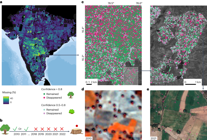 Map of farmland trees in India